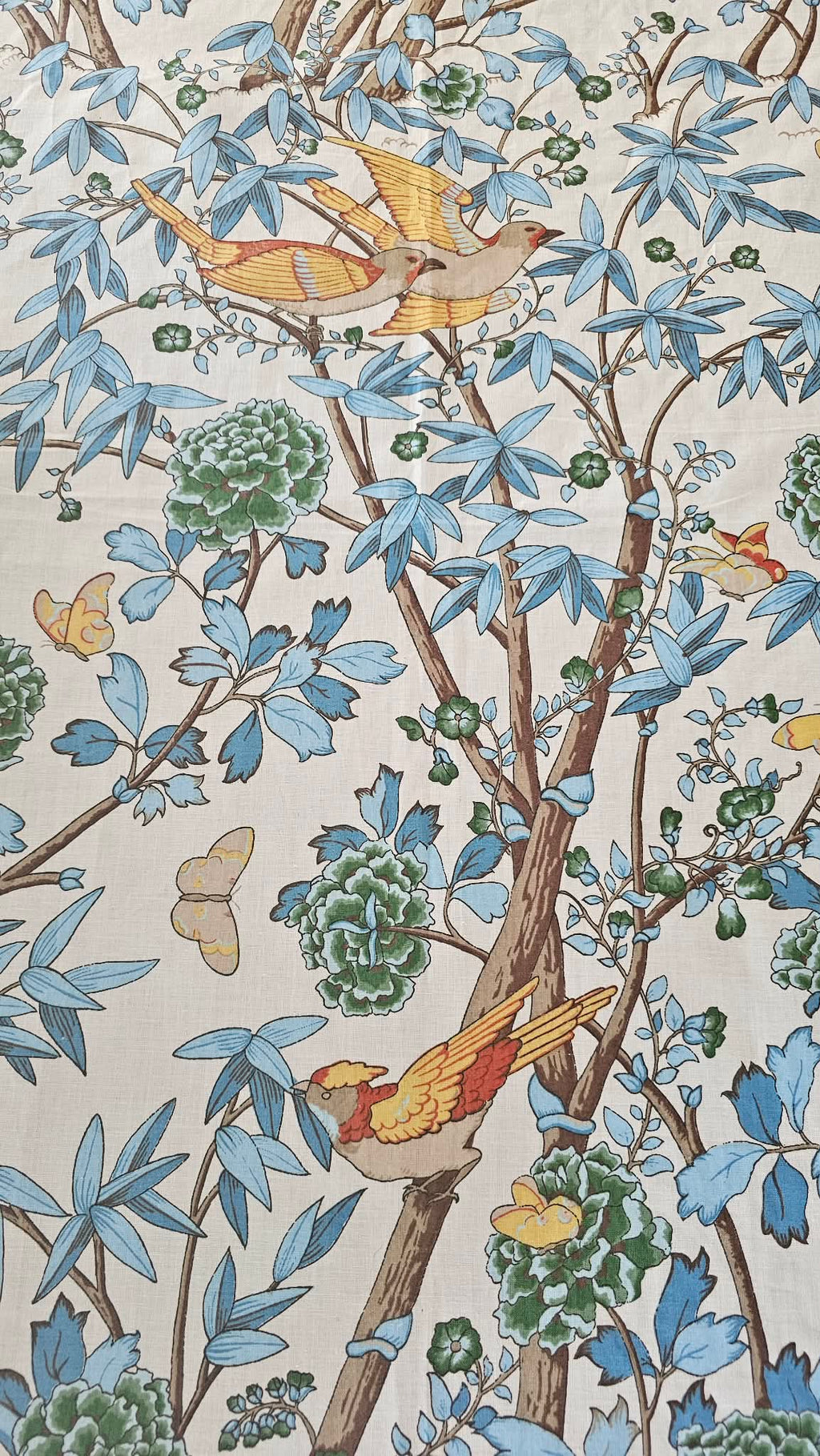 Tablecloth Song Haven