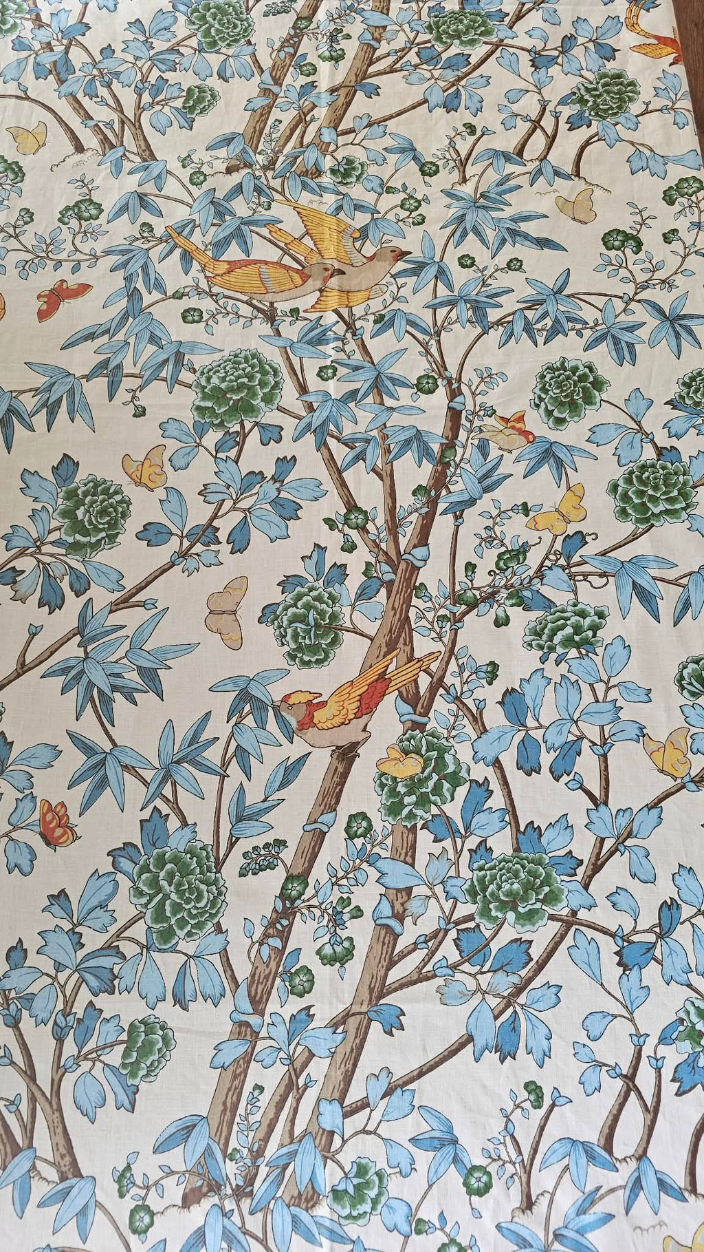 Tablecloth Song Haven