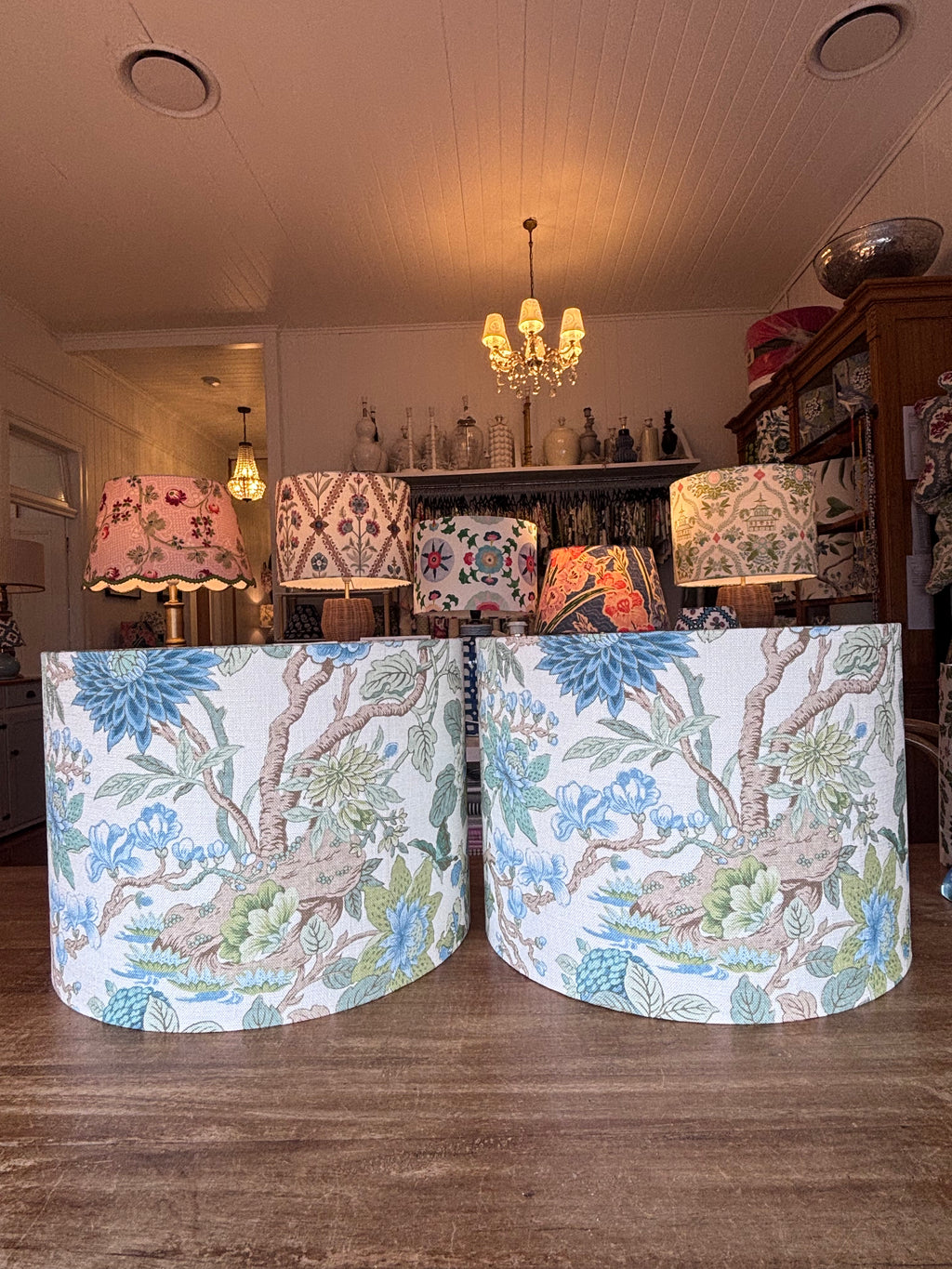 Little Magnolia shades
